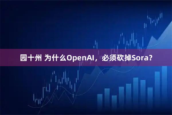 园十州 为什么OpenAI，必须砍掉Sora？