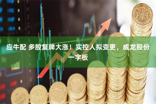 应牛配 多股复牌大涨!实控人拟变更,威龙股份一字板