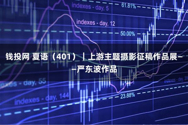 钱投网 夏语（401）｜上游主题摄影征稿作品展——严东波作品