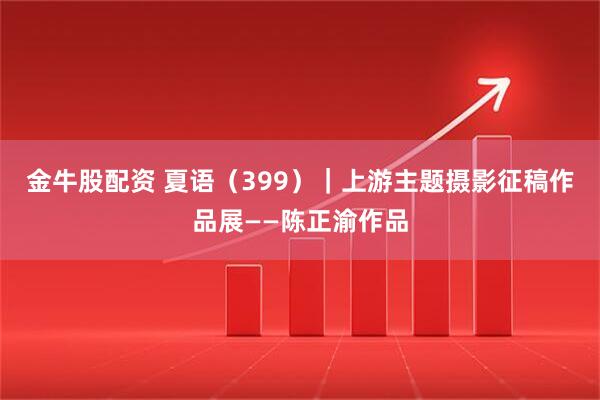 金牛股配资 夏语(399)|上游主题摄影征稿作品展——陈正渝作品